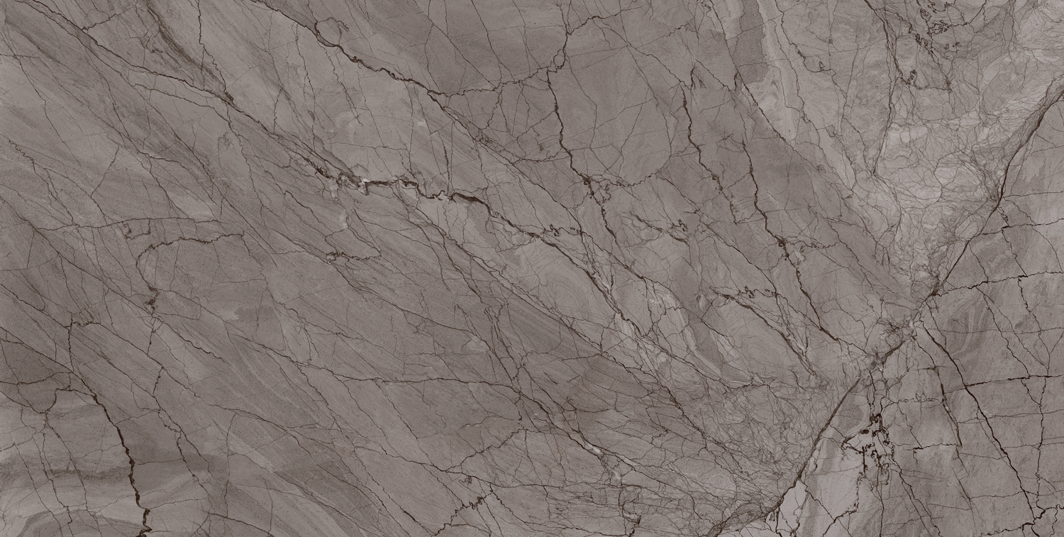 طوسی تیره/ Face1