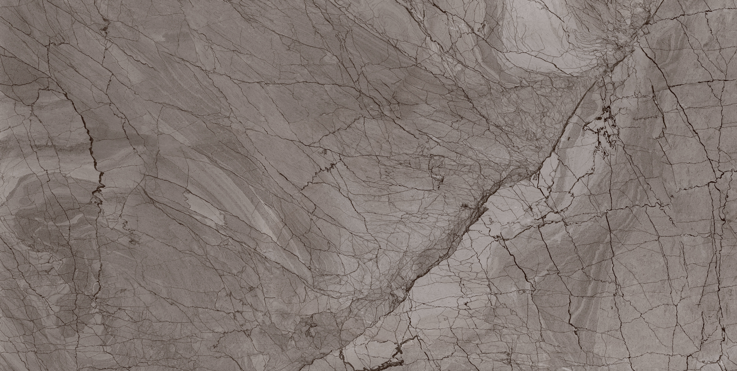 طوسی تیره/ Face3