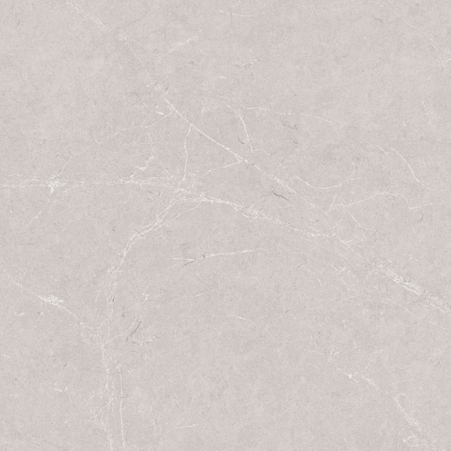 طوسی روشن/ Face1